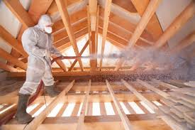 Best Eco-Friendly or Green Insulation Solutions  in Forest City, NC