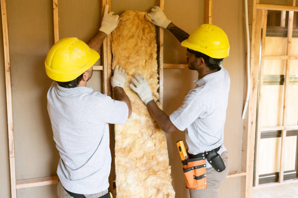 Best Insulation for New Construction  in Forest City, NC