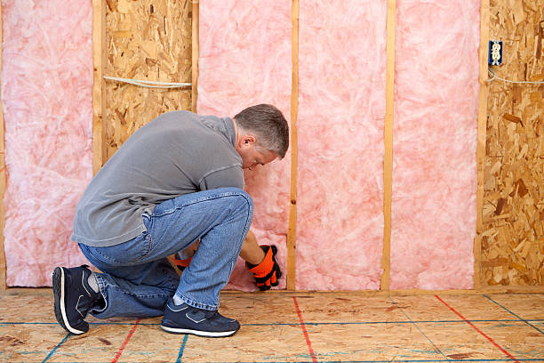 Best Wall Insulation Installation  in Forest City, NC