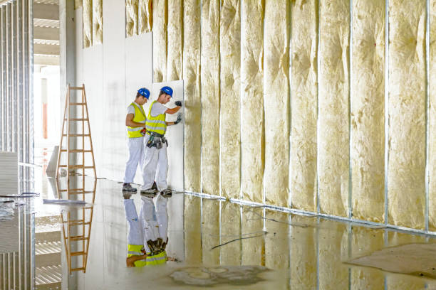 Best Insulation Air Sealing  in Forest City, NC